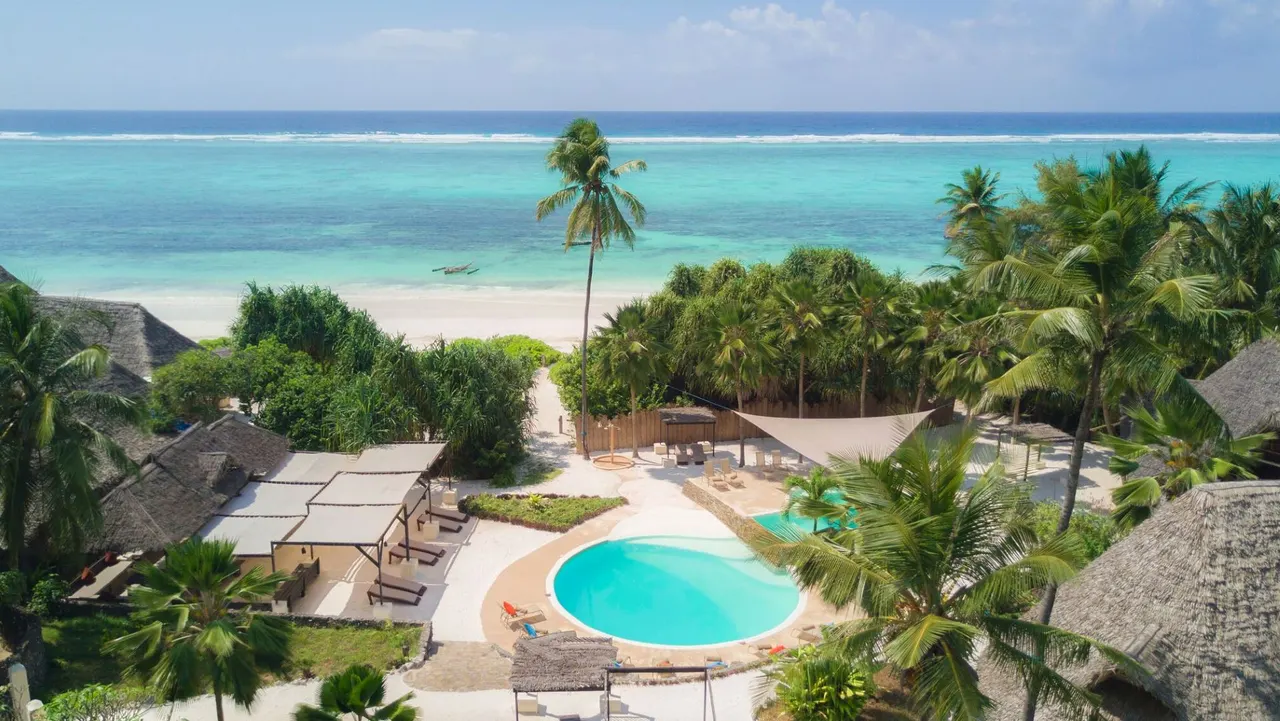 Zanzibar Pearl — image 4
