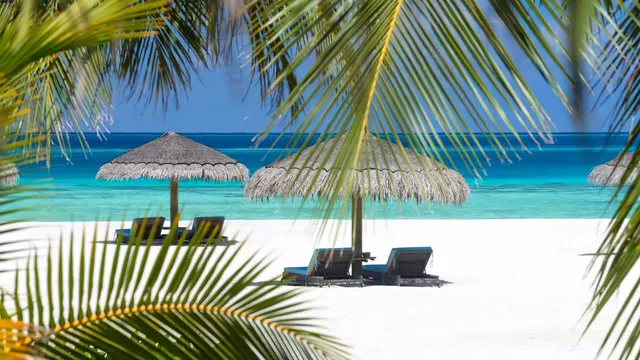 Thatched umbrellas and sunloungers on white sand above a turquoise lagoon, framed by palm fronds