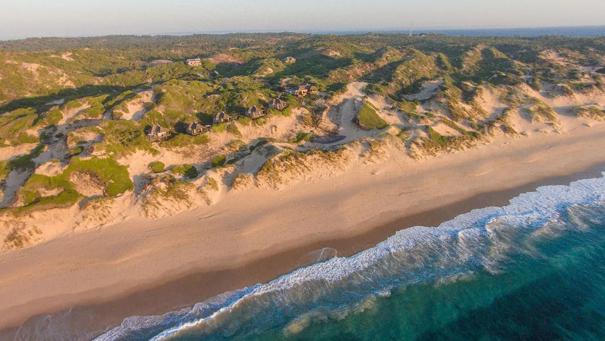 Sava Dunes — image 20