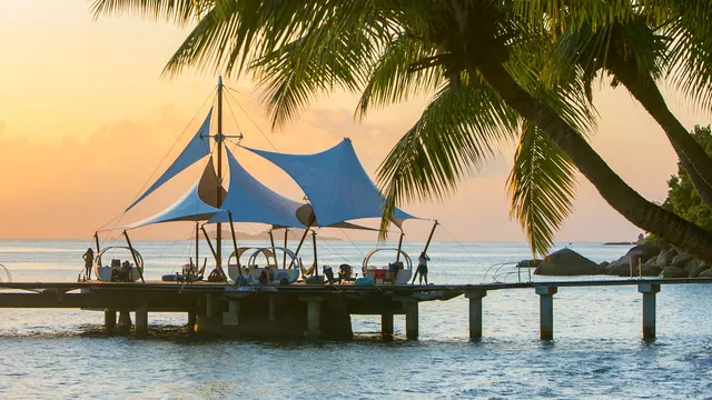 Coco de Mer — image 5