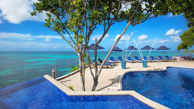 Black Parrot Suites — image 7