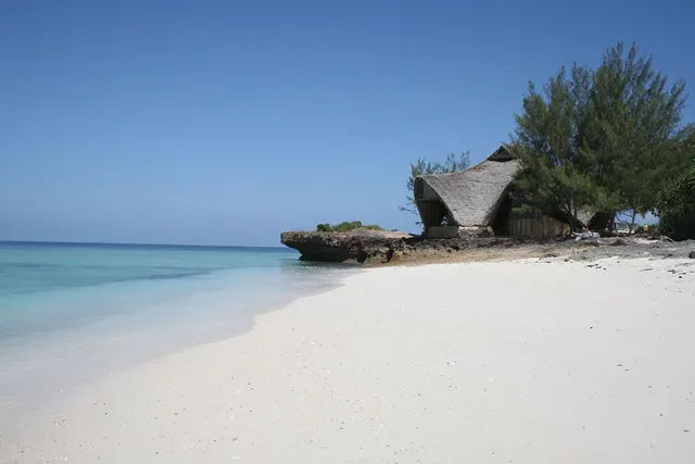 Chumbe Island — image 27