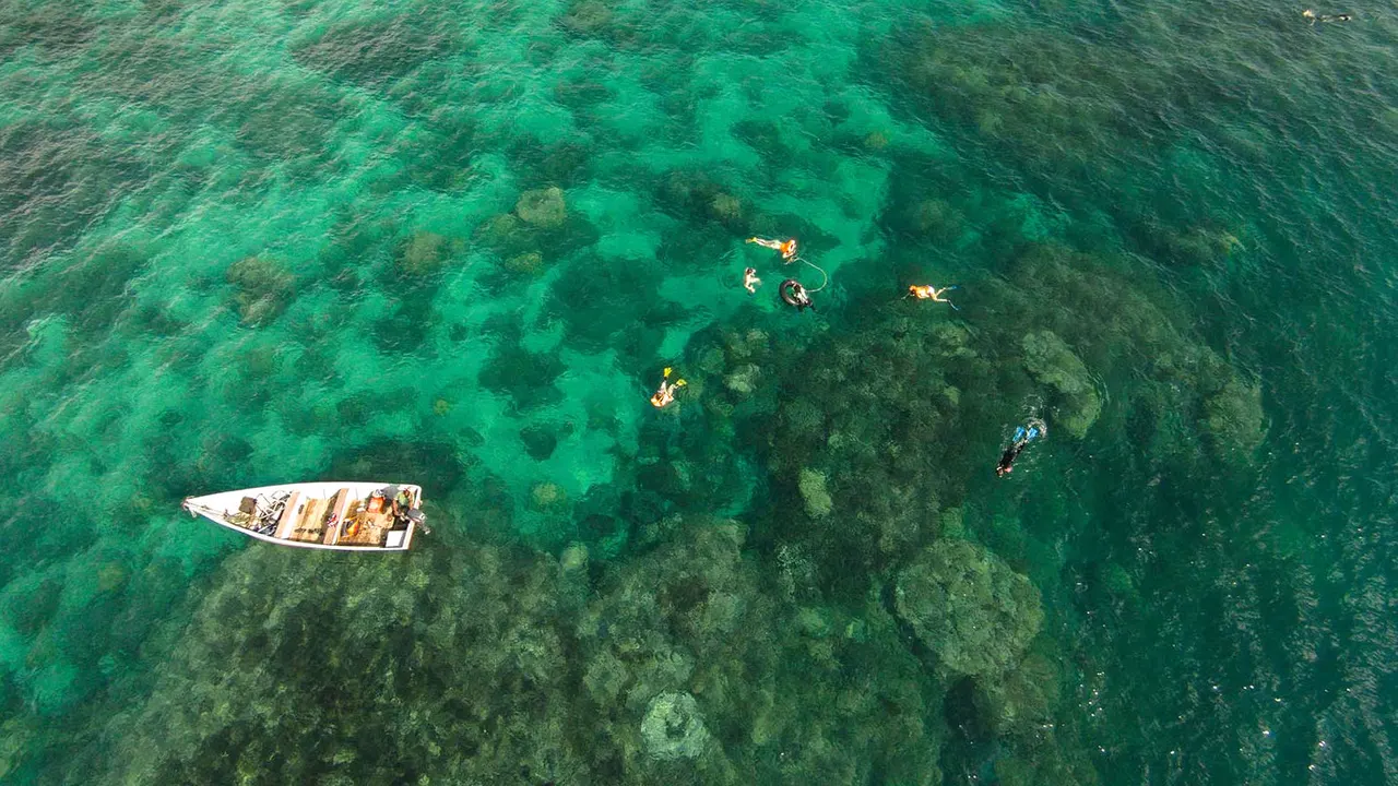 Chumbe Island — image 7