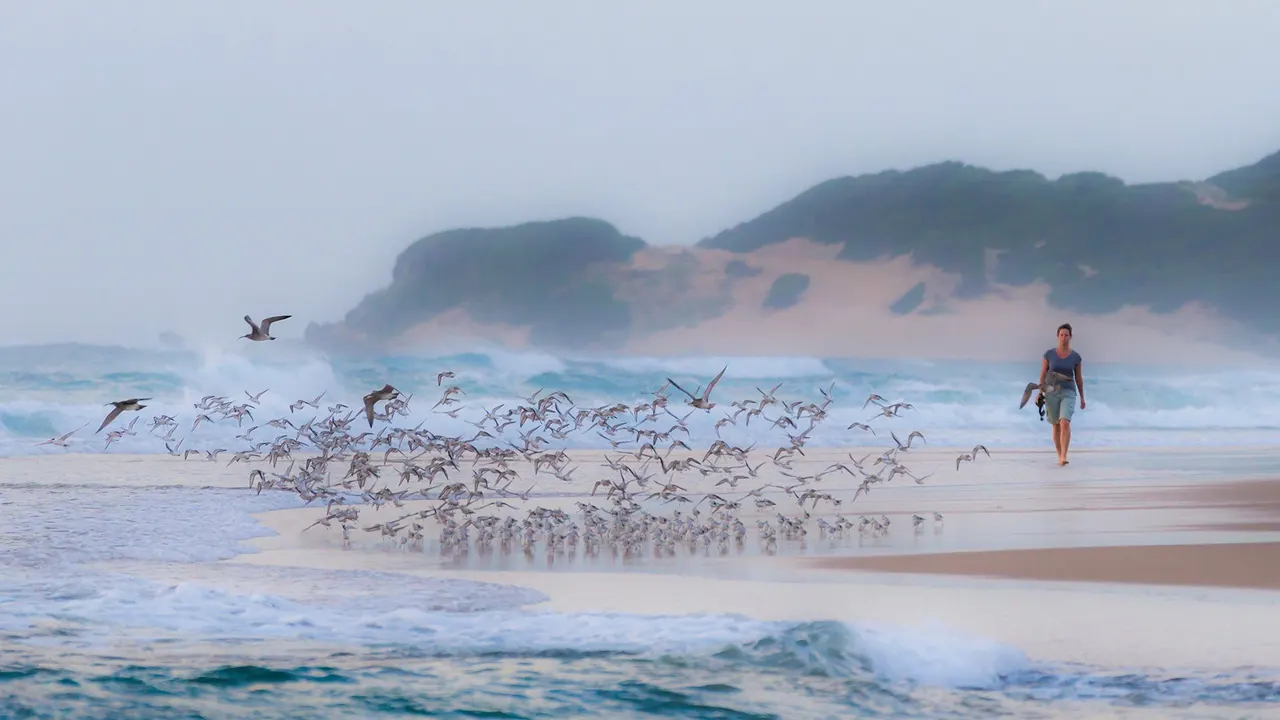 Machangulo Beach Lodge — image 15