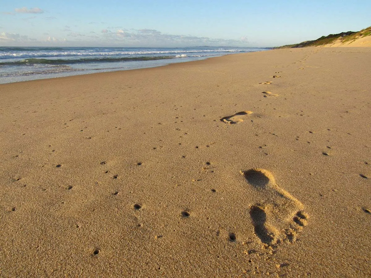 Sava Dunes — image 24