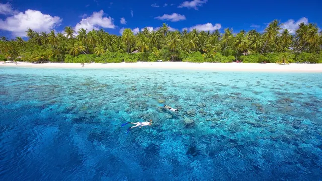 Maldives
