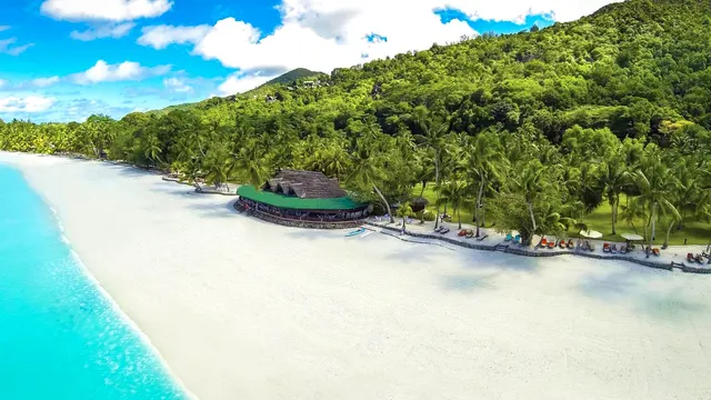 Paradise Sun