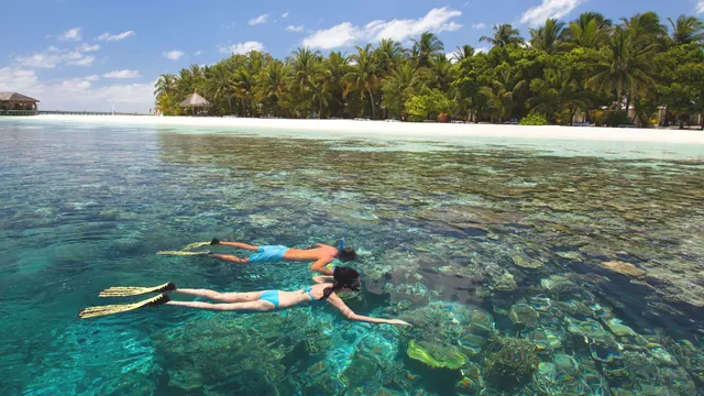 Vilamendhoo — image 13