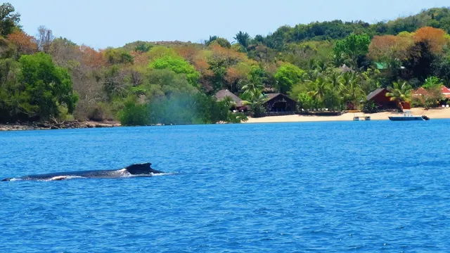 Sakatia Lodge — image 2