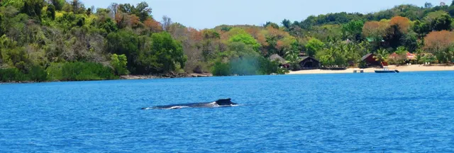 Sakatia Lodge — image 29