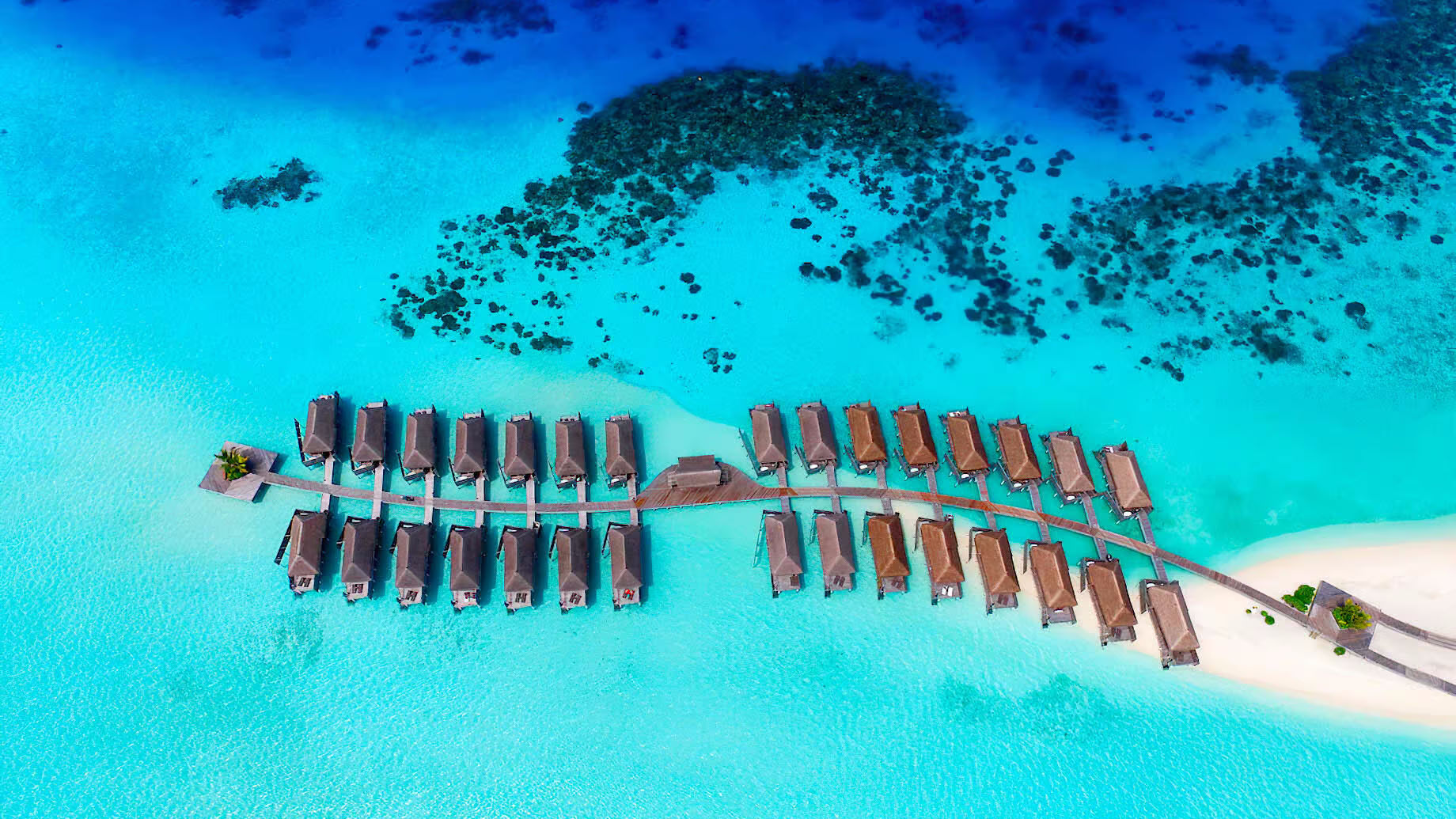 Constance Moofushi — image 9