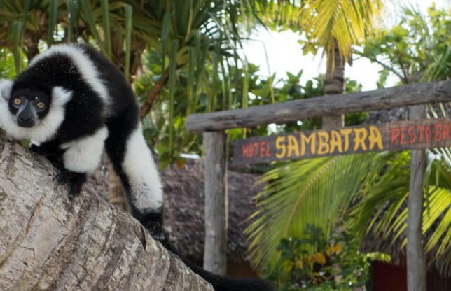 Sambatra Beach Lodge — image 30