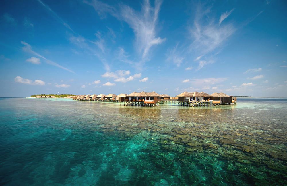 Lily Beach Resort — image 16