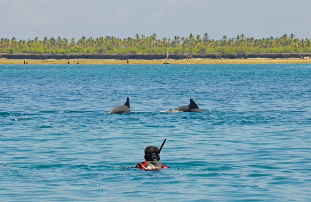 Fanjove Island — image 22