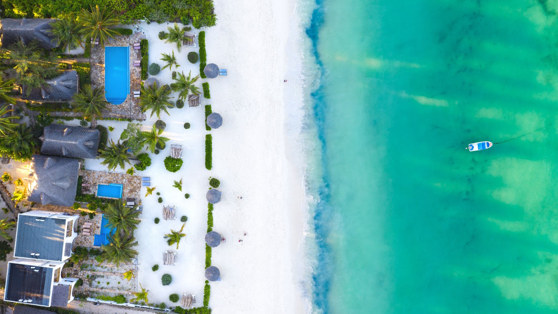 Next Paradise — image 4