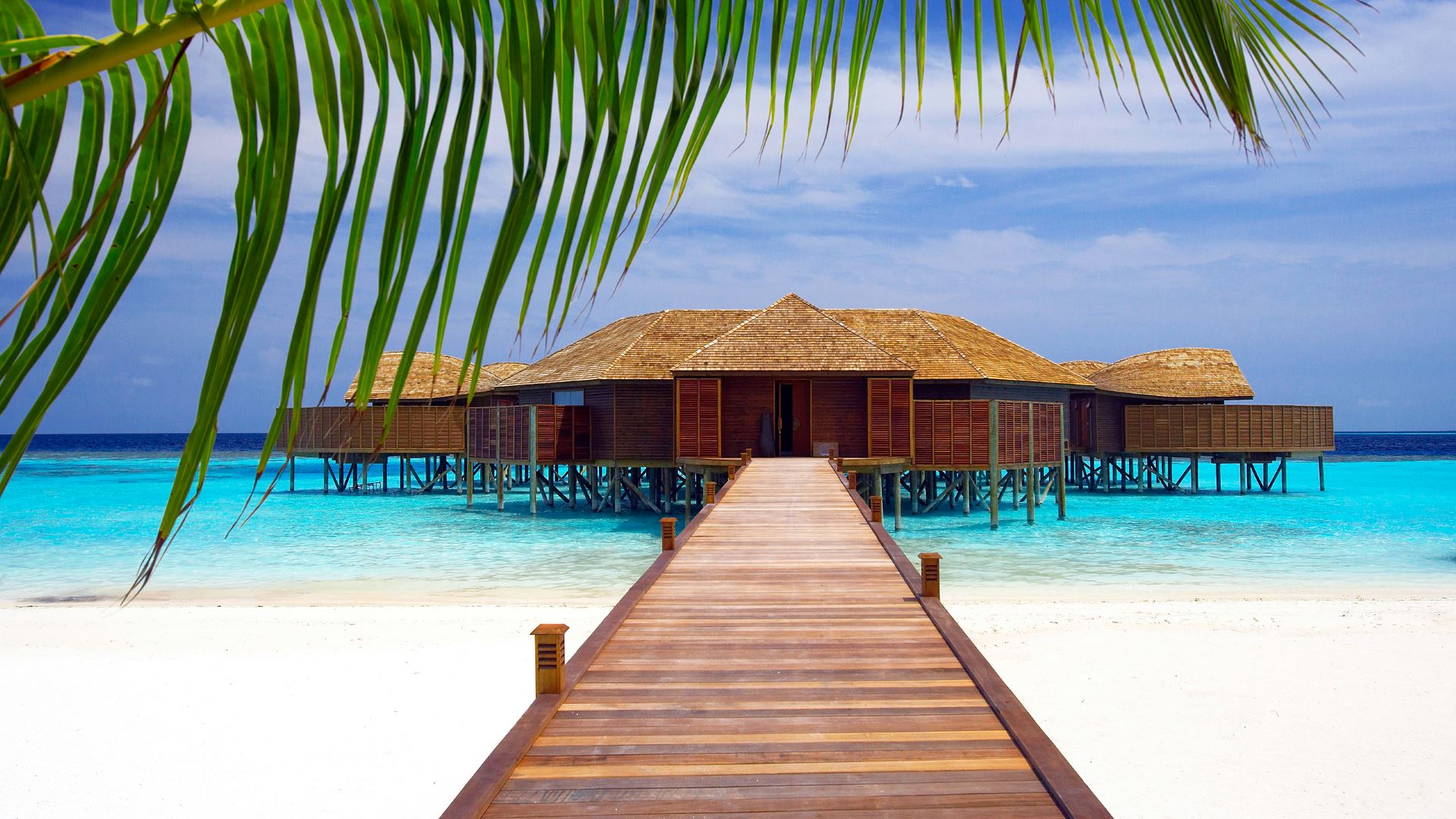 Lily Beach Resort — image 2