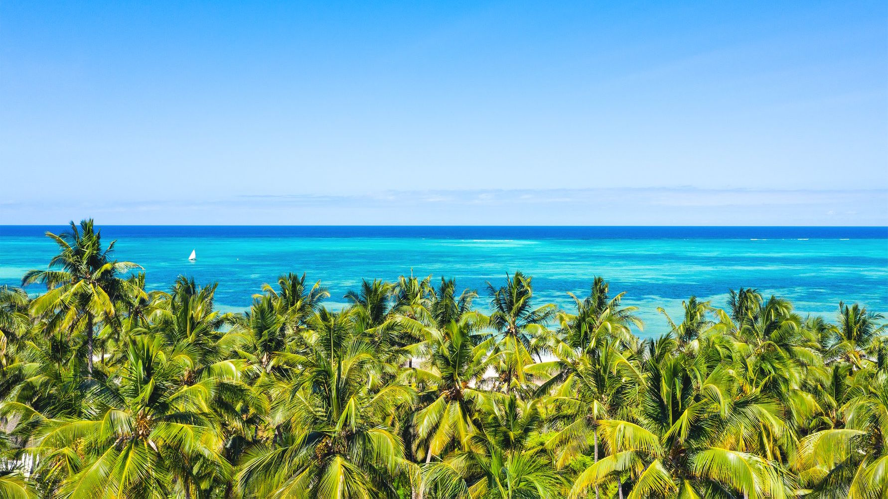 Next Paradise — image 10