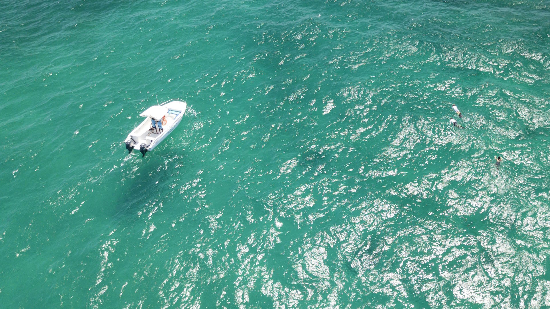 Azura Marlin Beach — image 12