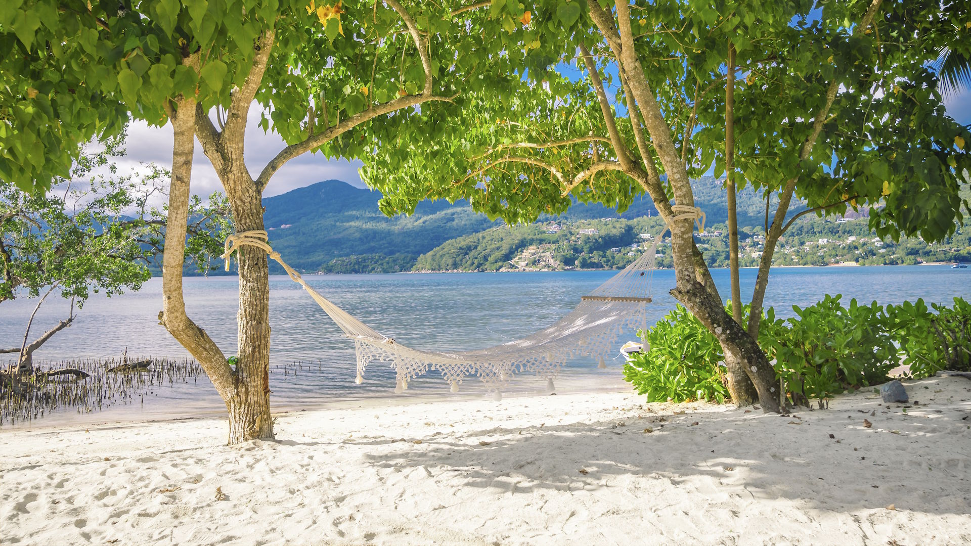 Pineapple Beach Villas — image 12