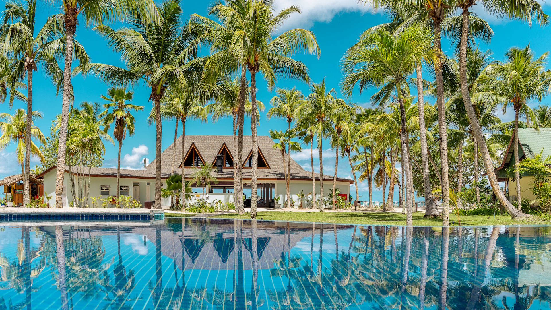 Paradise Sun — image 5