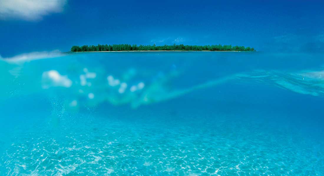 Denis Island — image 38