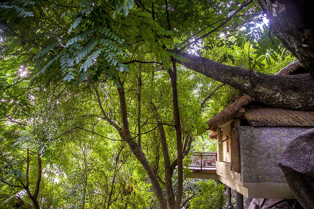 Le Domaine de l’Orangeraie — image 36