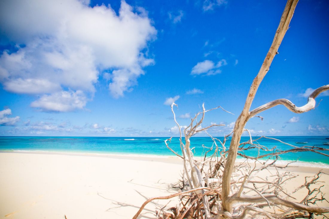 Denis Island — image 19