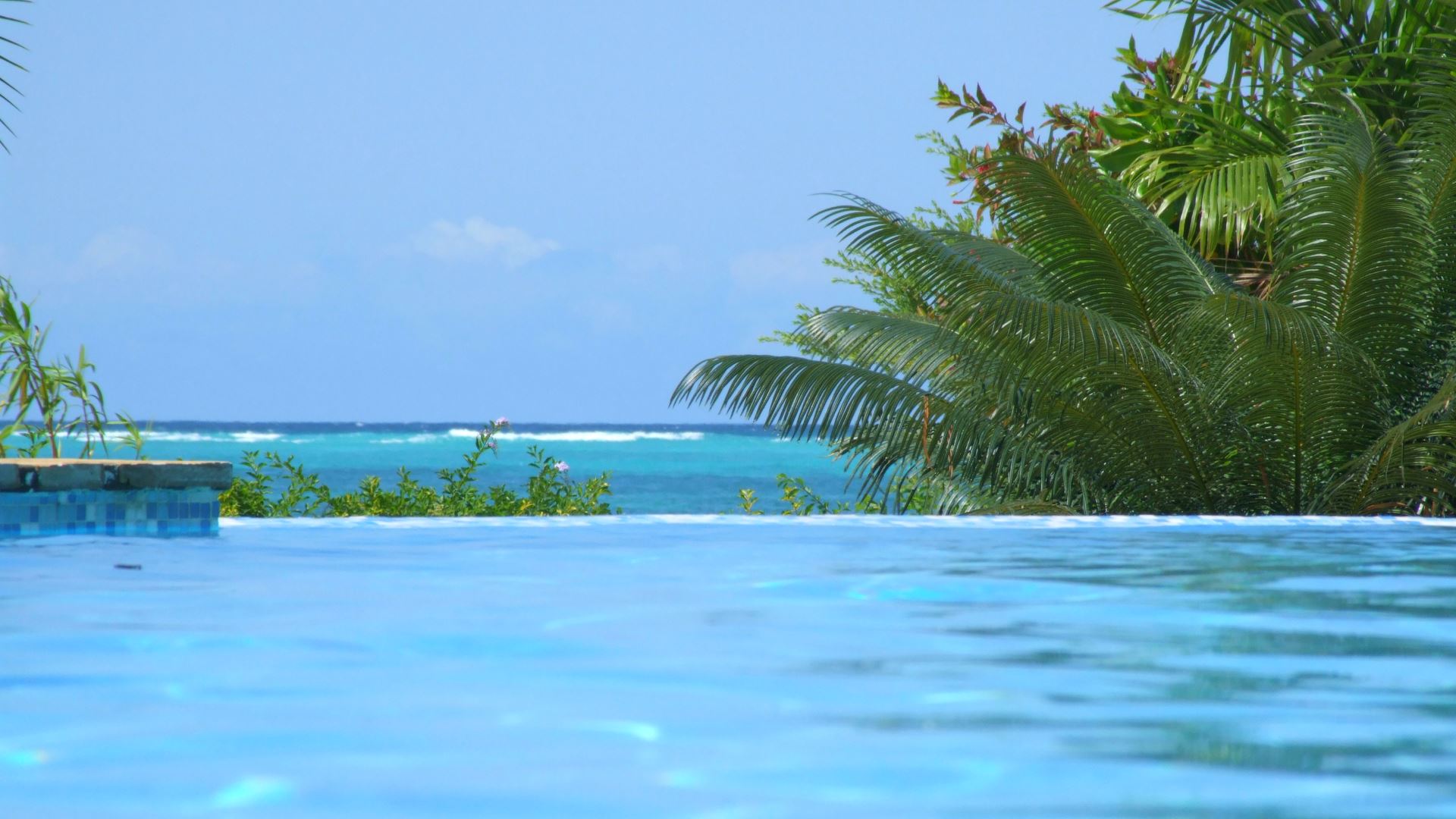 Next Paradise — image 12