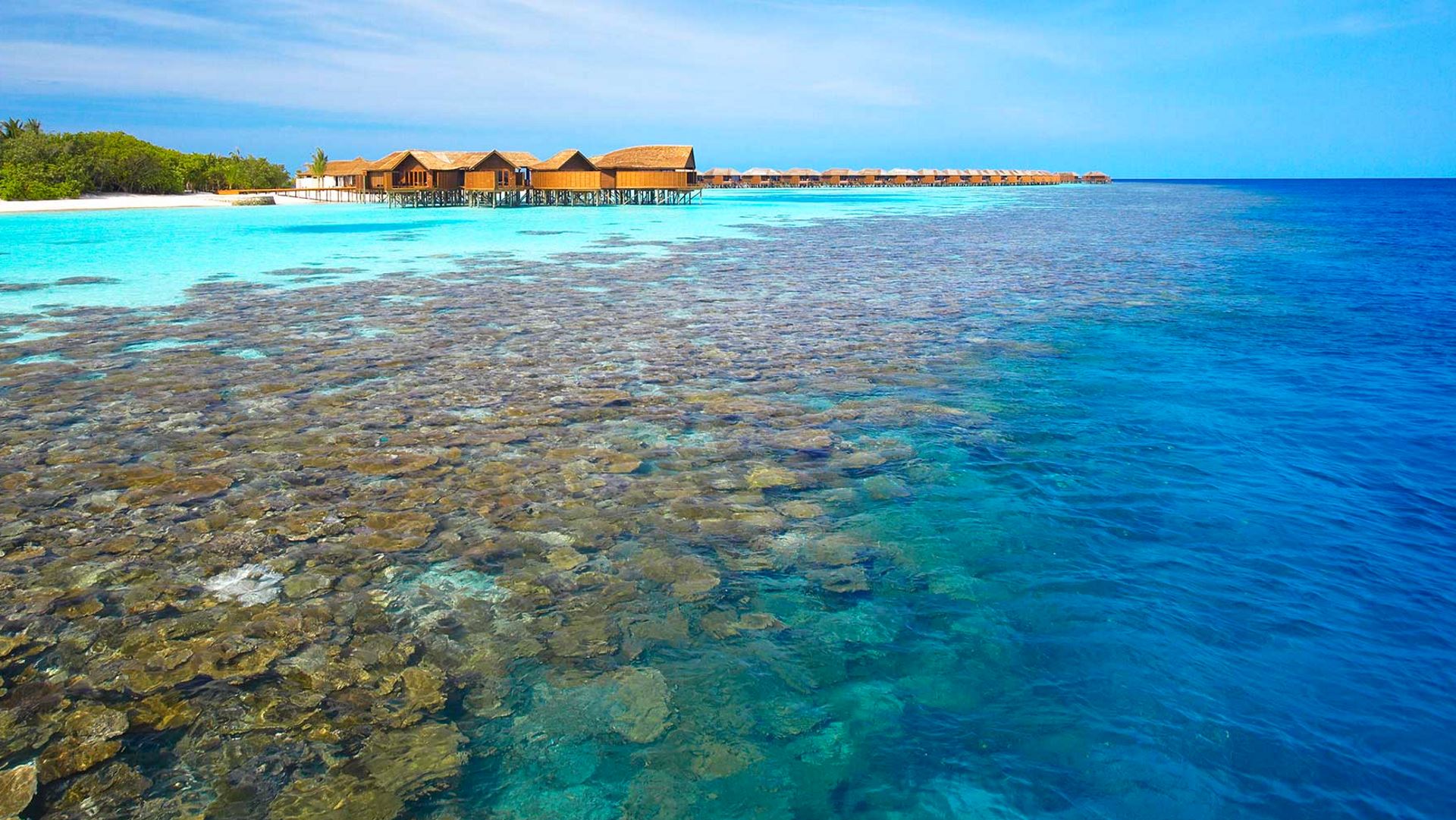 Lily Beach Resort — image 6