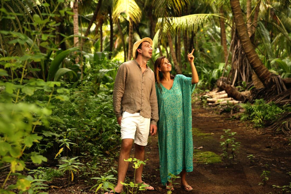 Denis Island — image 39