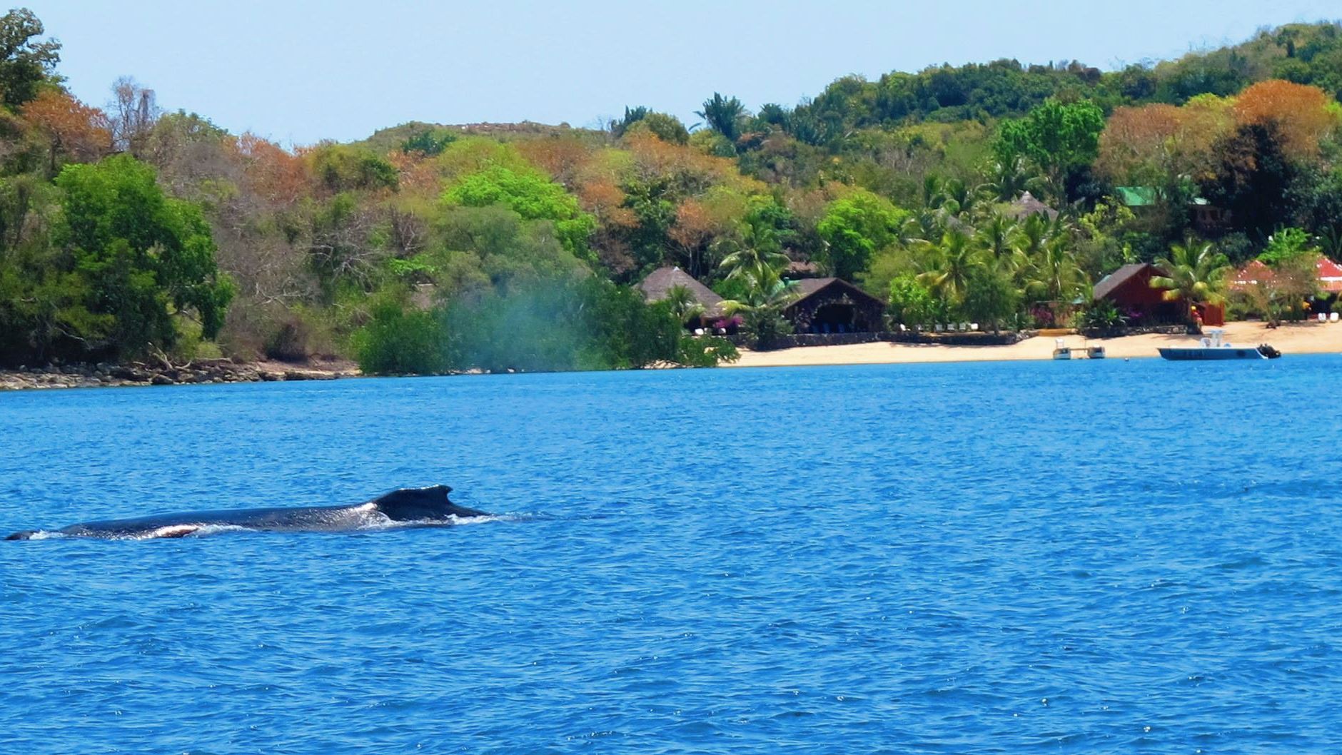 Sakatia Lodge — image 1